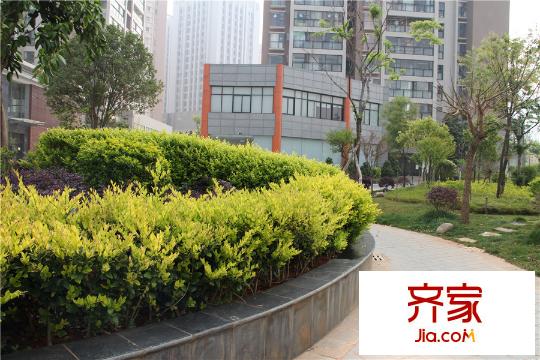 新亚洲欢乐城实景图小区绿化(2015-03-22)
