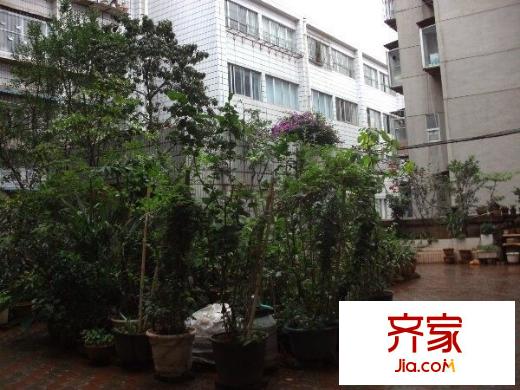 金泉小区外景图