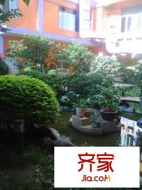 第5大道外景图