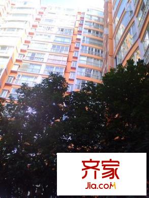 第5大道外景图