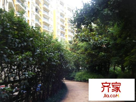 凤凰城外景图