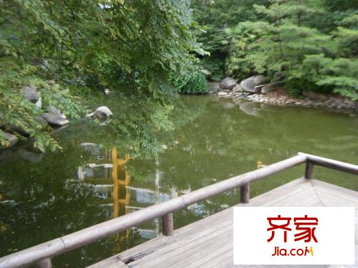 凤凰城外景图