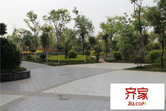 新亚洲欢乐城实景图小区绿化(2015-03-22)