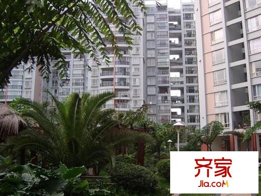 晨光大道外景图
