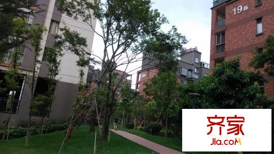 龙江雅苑外景图