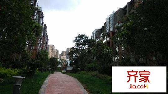 龙江雅苑外景图