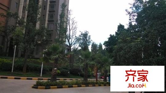龙江雅苑外景图
