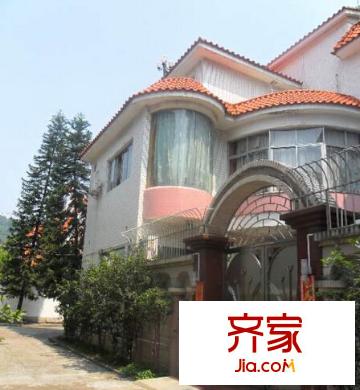 河西别墅区