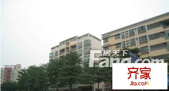 金悦轩