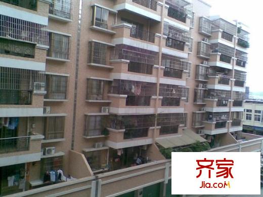 金逸轩