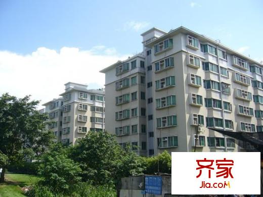 南桂东路