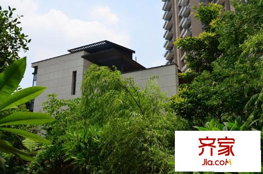 创鸿・千灯墅实景图