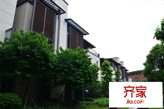 创鸿・千灯墅实景图