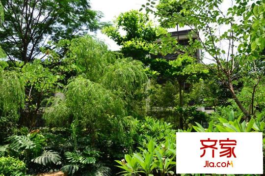 创鸿・千灯墅实景图