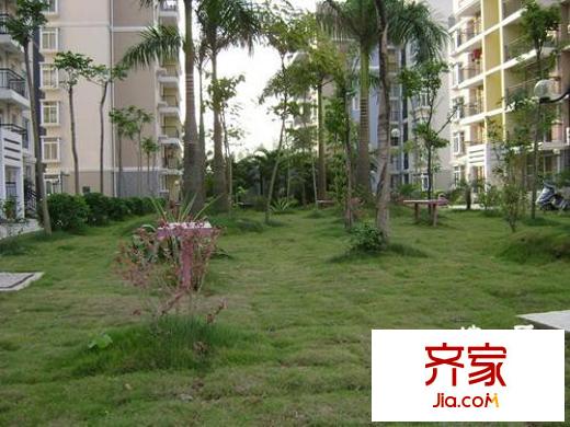 佳信・红林新都阳光海岸外景图小区实景4