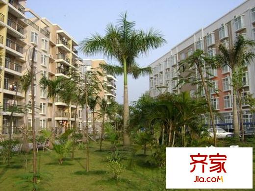 佳信・红林新都阳光海岸外景图小区实景5