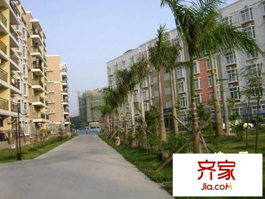 佳信・红林新都阳光海岸外景图小区实景2