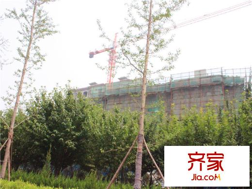 荣盛香醍荣府工程进度20140624