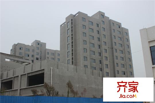 远州杰座(2015-11-9)