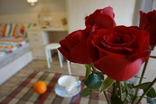 小户型一居室装修玫瑰花装饰