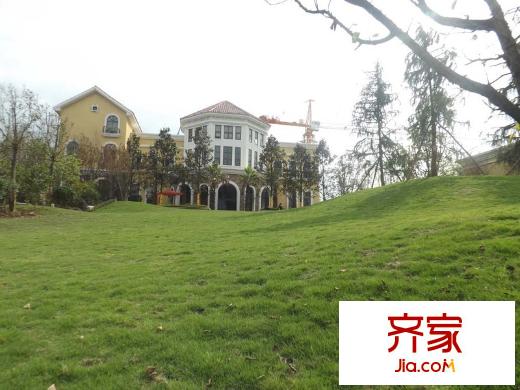 美丽泽京