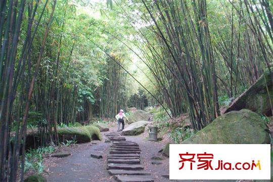 力帆翡翠郡周边缙云山