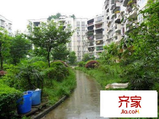 卓然翡翠城外景图