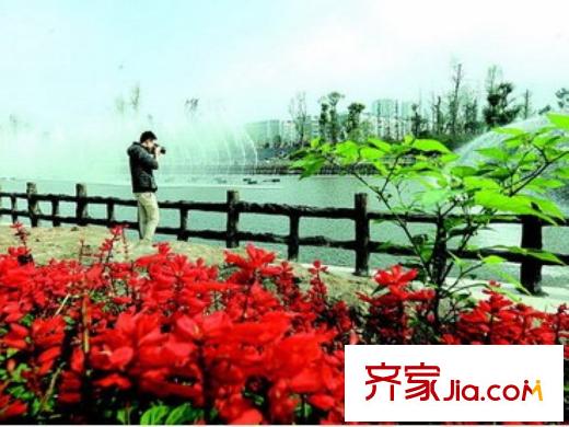 鸥鹏凤凰国际新城配套图周边璧山湿地公园
