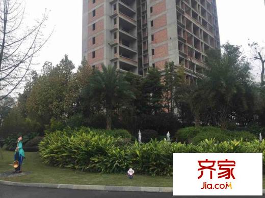 鸥鹏凤凰国际新城外景图