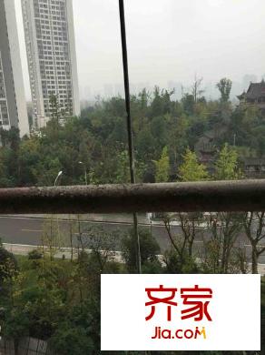 鸥鹏凤凰国际新城外景图