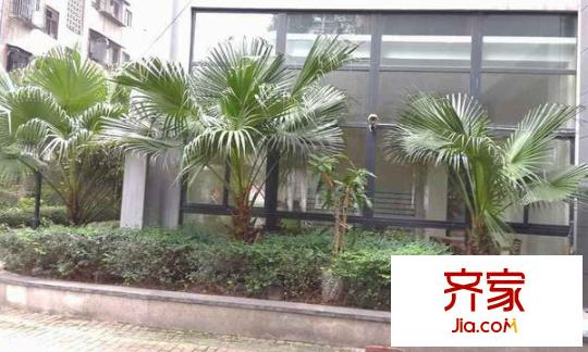 天赐金谷温泉城外景图