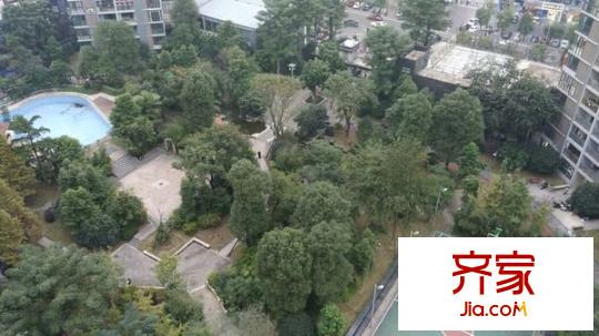 锦春绿岛新都外景图