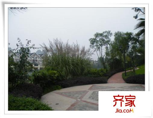 隆鑫花漾湖实景图