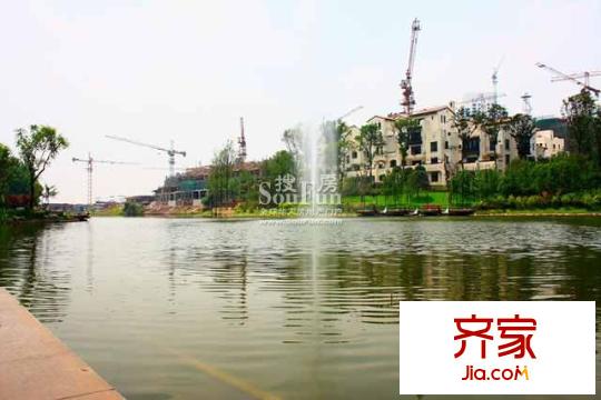隆鑫花漾湖外景图实景图