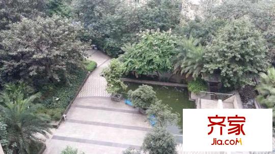 隆鑫花漾四季外景图