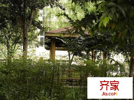 旭东家天下外景图