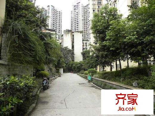 旭东家天下外景图