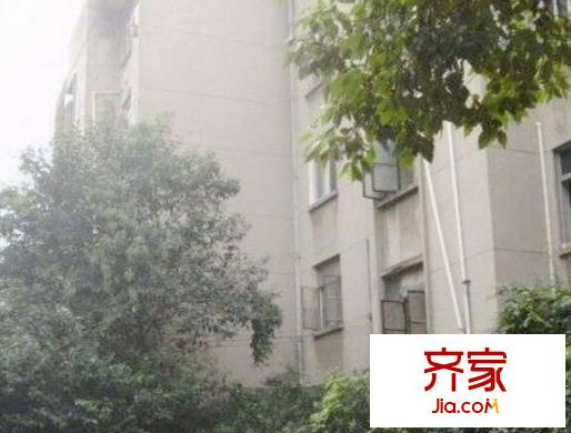 槐树巷