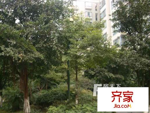 绿杨新村