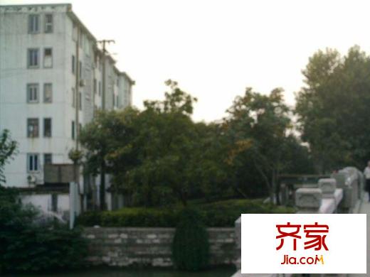 半岛