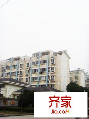 太阳花园