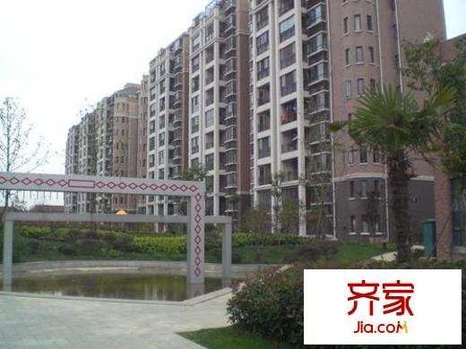 石湖金钻