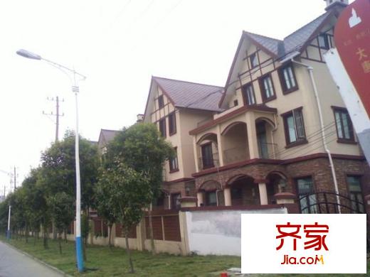 大唐奥斯汀