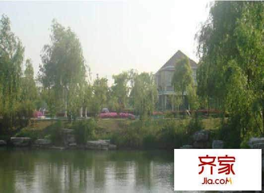 金澄明珠