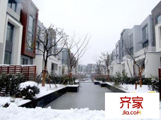 星岛仁恒