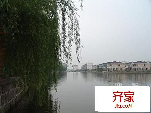 北岸春天