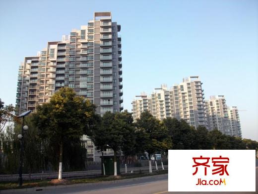 佑林泰极