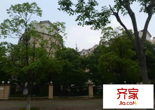 群星苑村