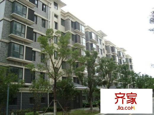 康居新江南