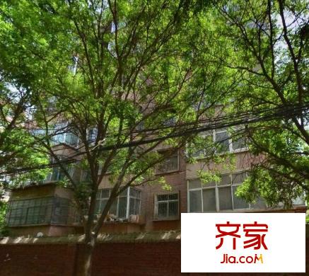 纺研所家属院